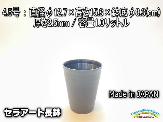 SHOKICHI同梱価格　ブラヘアアルマータ　10号鉢つき　矮性タイプ❗ セラアート長鉢4.5号黒プラ鉢(陶器風ロング深鉢タイプ)：5鉢セット