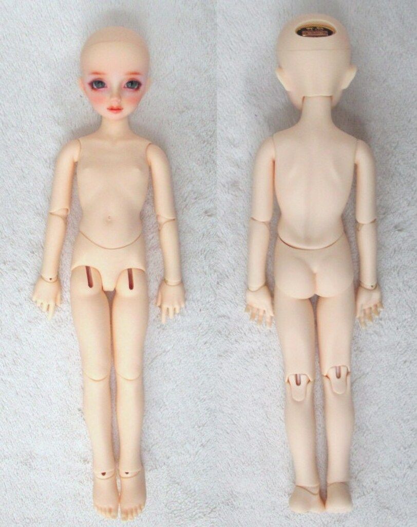 コーディネートモデル F-61