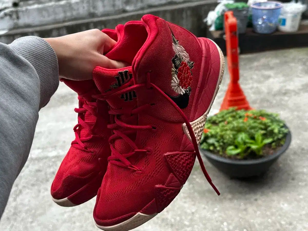 カイリー 4 chinese year 270