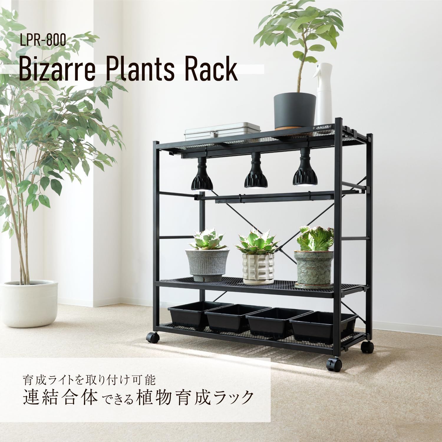 ✿ 商品