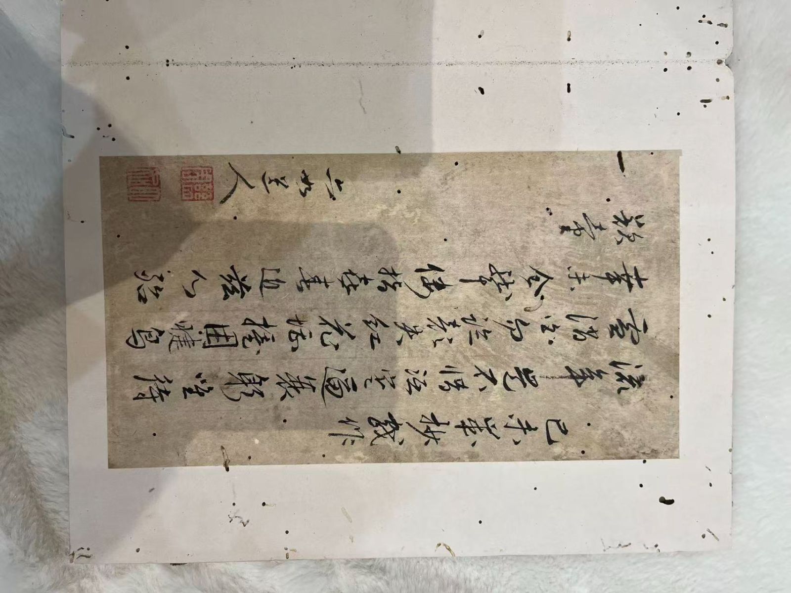 花鳥画 書道作品