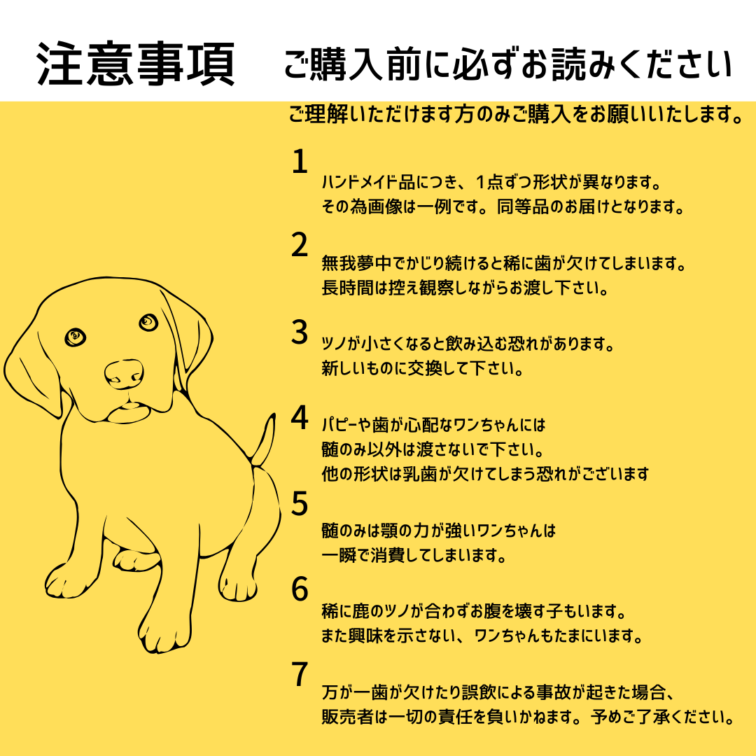 【クーポン発行中】🐶超小型犬用🐶半割り✅2本セット🦌北海道産エゾ鹿の角🦌犬のおもちゃ🐕鹿の骨　A