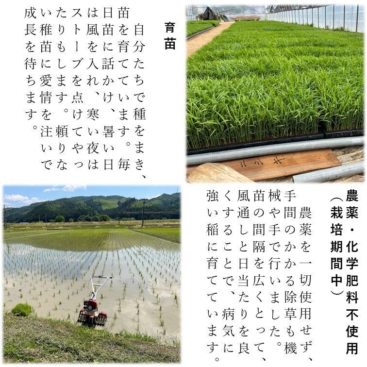 宮城県登米市産ササニシキ【農薬、化学肥料不使用】 玄米24kg-