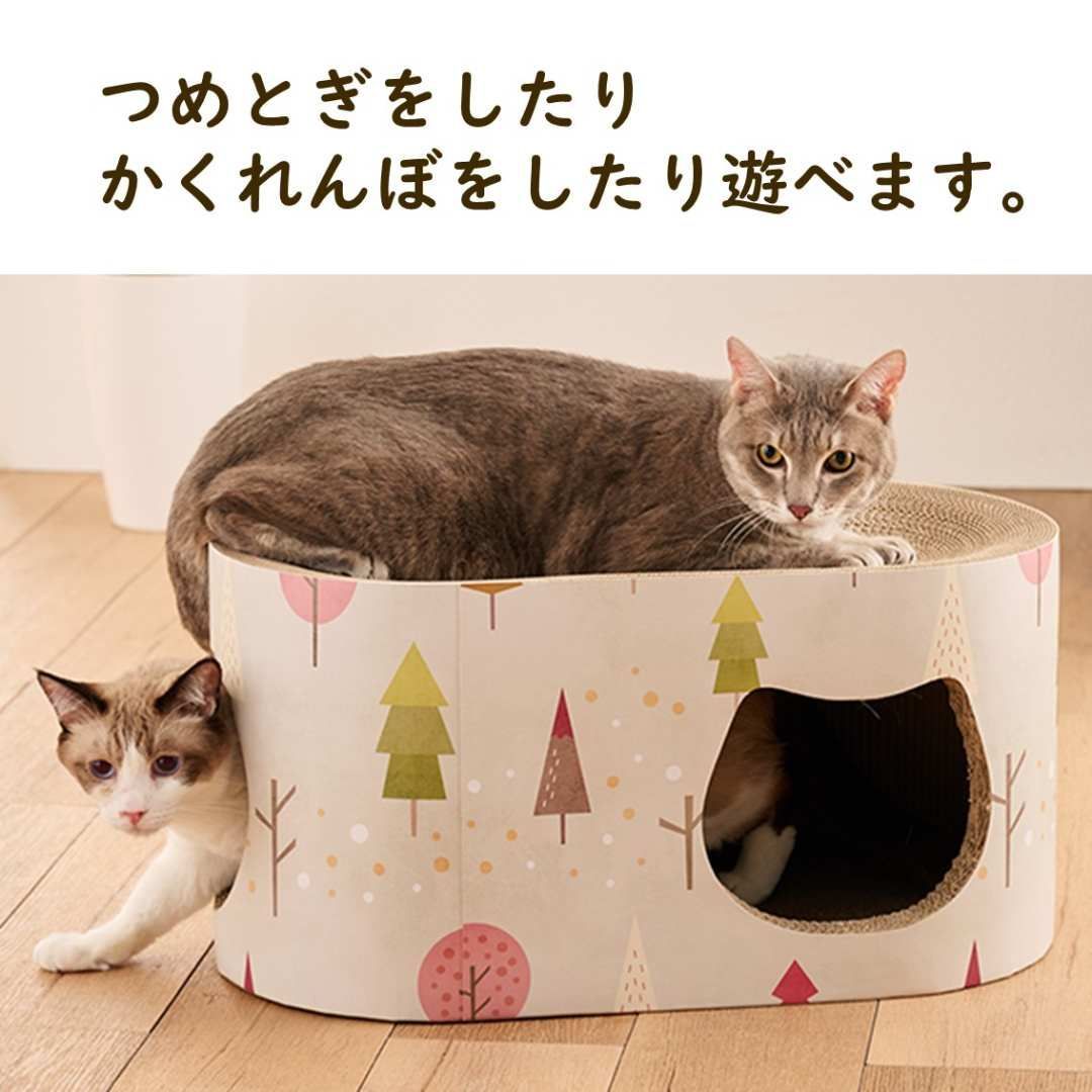 ねこ