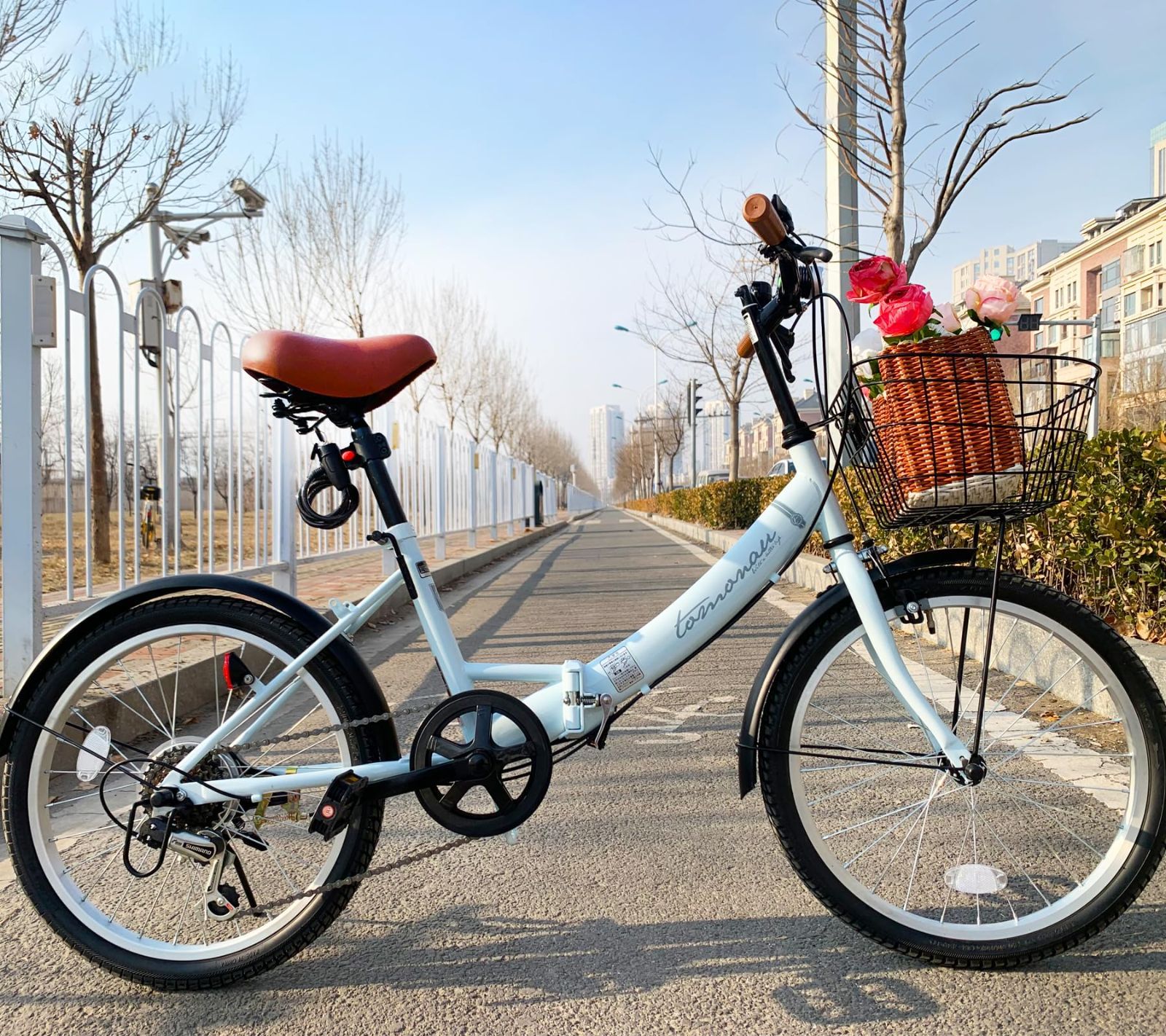 TOMONAU 折り畳み自転車 20インチ 折りたたみ自転車 6段変速 カゴ ワイヤー錠 ライト付き 通勤 通学 街乗 前後泥除け装備 ハンドルの高さ調節できる 小径車 ミニベロ-T-FDB206L