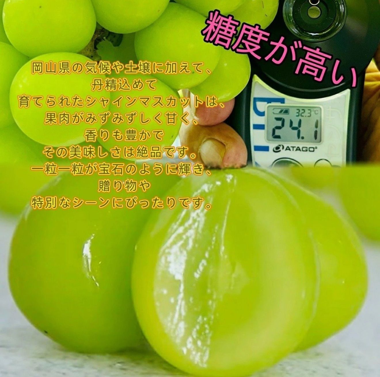 岡山シャインマスカ農薬不使用2kg超大粒贈答用プレミアム贅沢な甘さパリッと食感 岡山シャインマスカ農薬不使用2kg超大粒贈答用プレミアム贅沢な甘さ