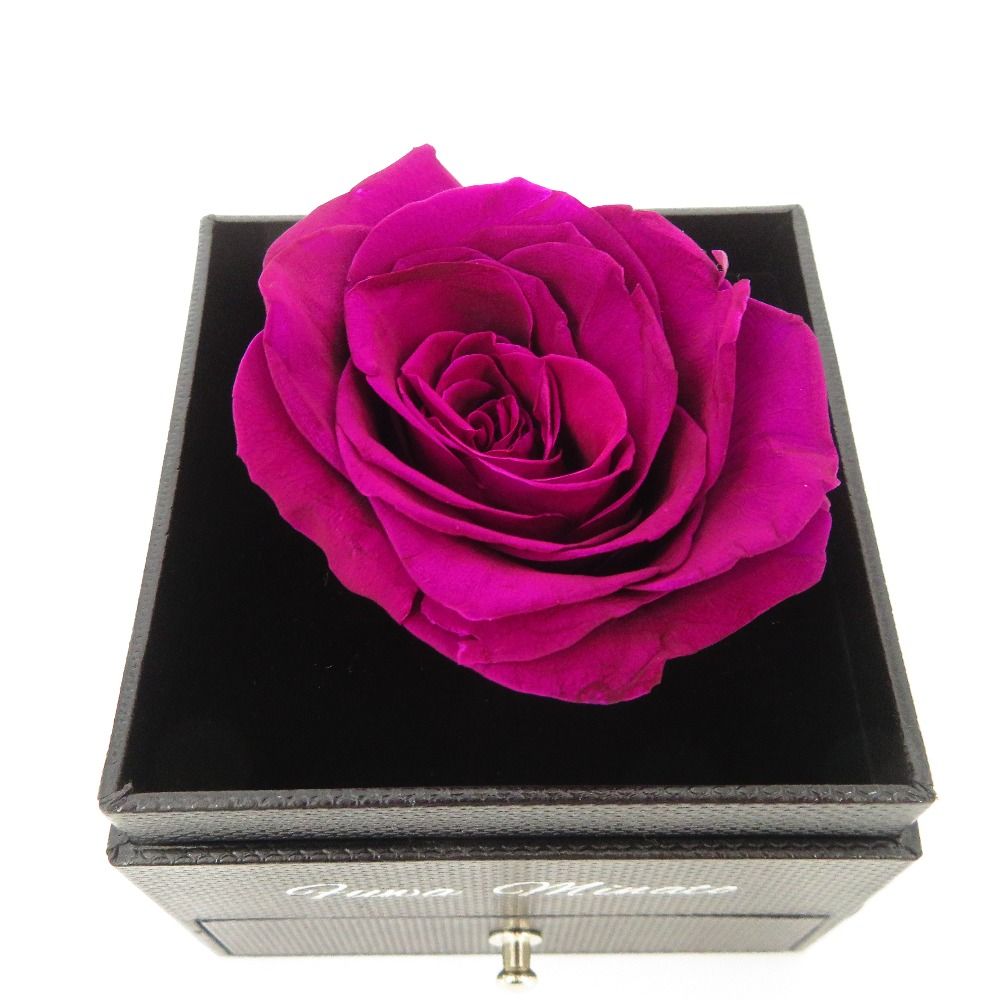 にじさんじ 不破湊 ローズジュエルライト リングライト　リンライ 不破湊 1st LIVE】ローズジュエルライト（2個セット）｜にじさんじ