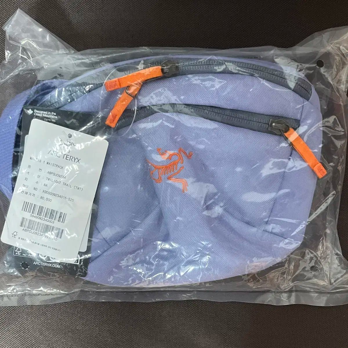 新品 本物 廃番品 アークテリクス ビームス 別注 マンティス 1