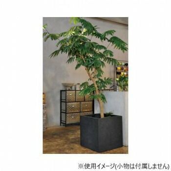 ブラック 40cm