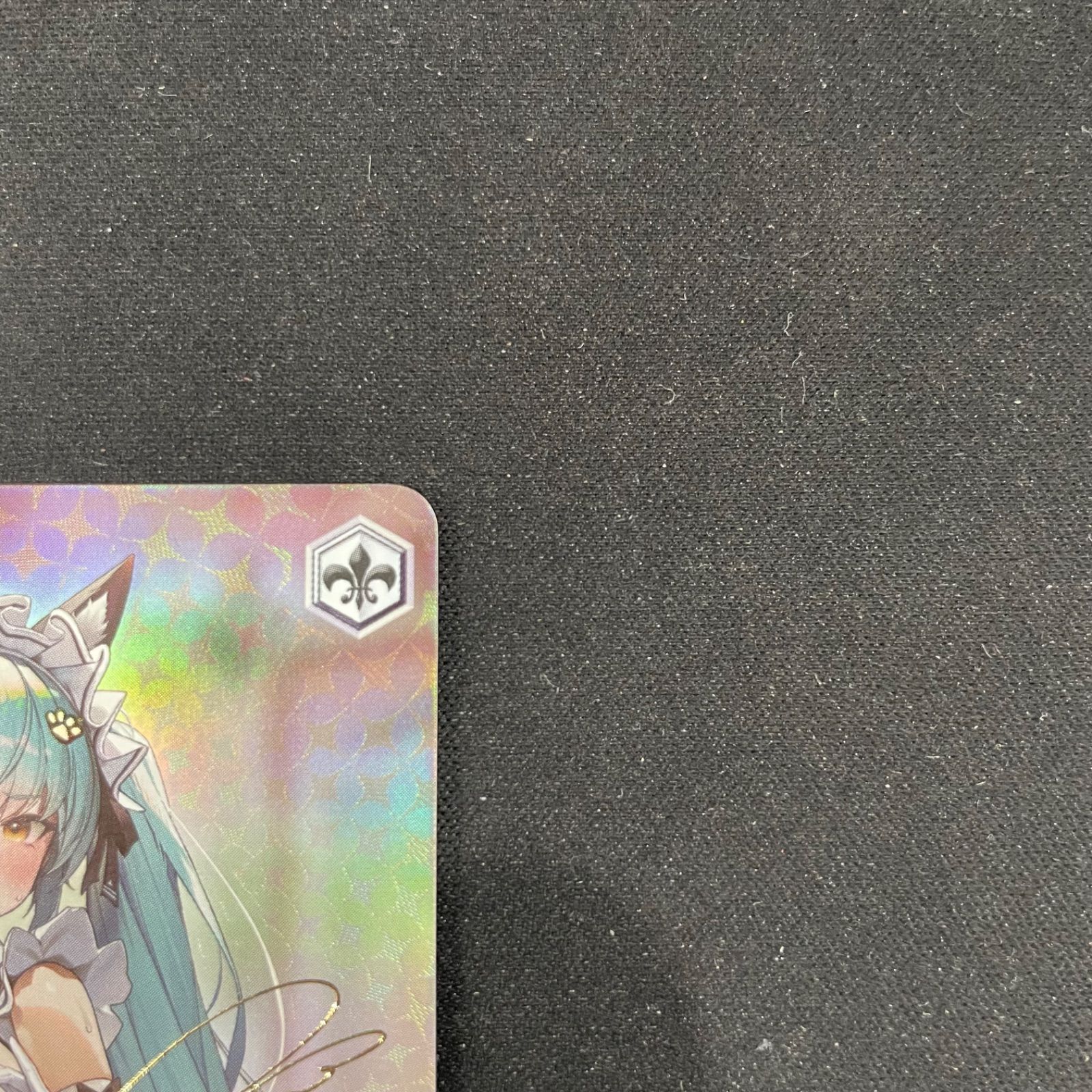 ヴァイスシュヴァルツ プリバディ