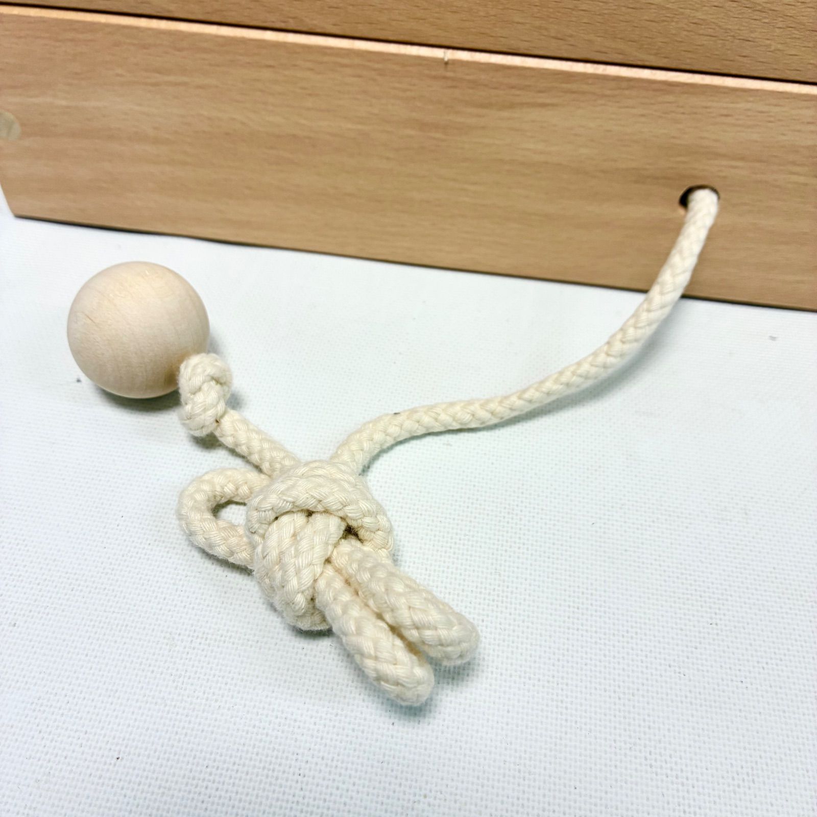 家庭保育園 ゲーテの組み木（ガイドブック付き）