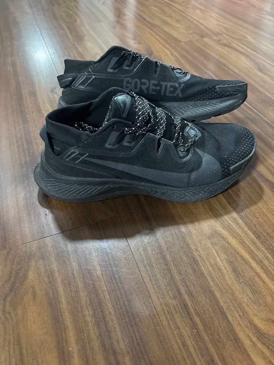 NIKE(ナイキ) ペガサス トレイル 2 GORE-TEX(ゴアテックス) 黒 270