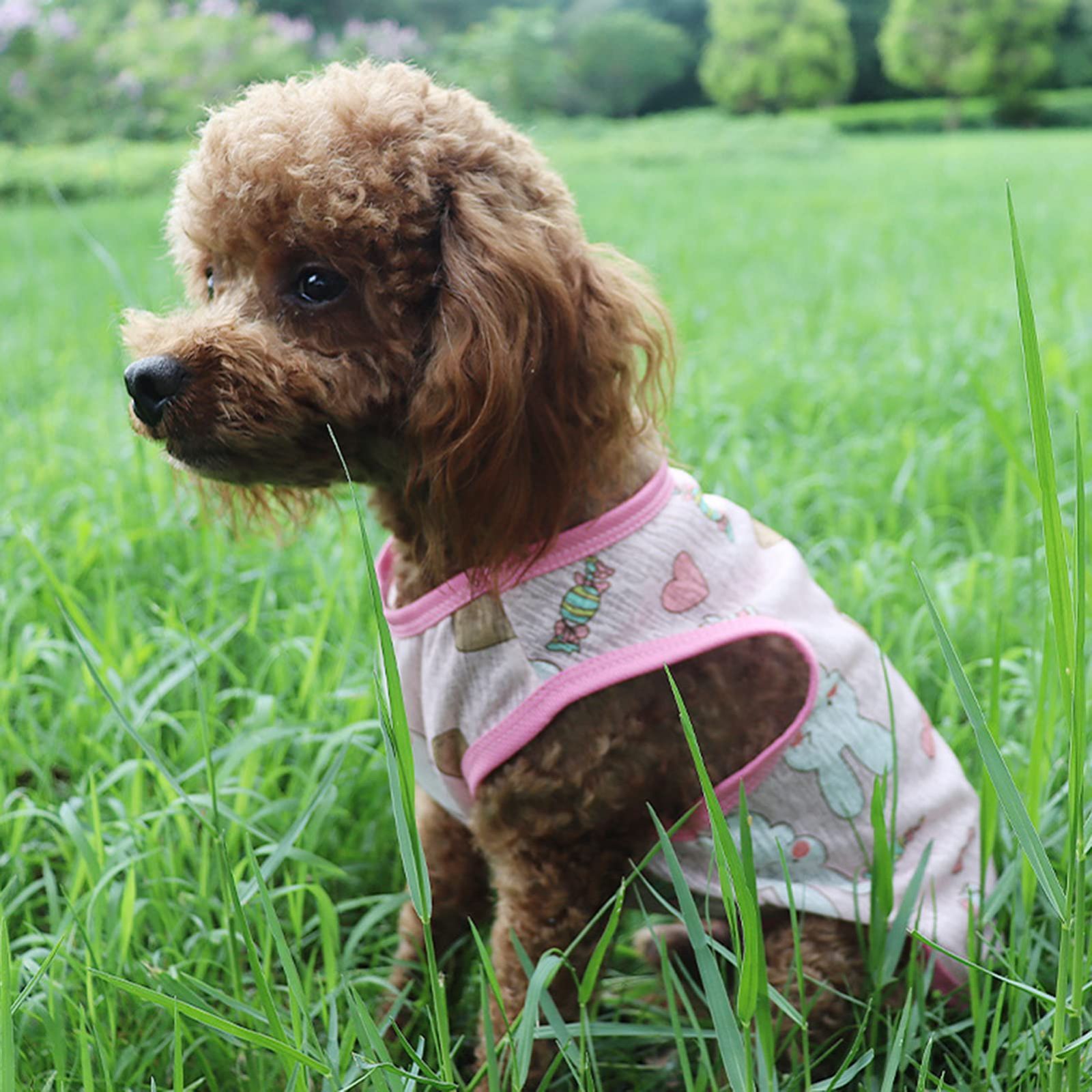 特価セール】袖なし 犬猫服 ベスト お散歩 ドッグウェア 春夏服