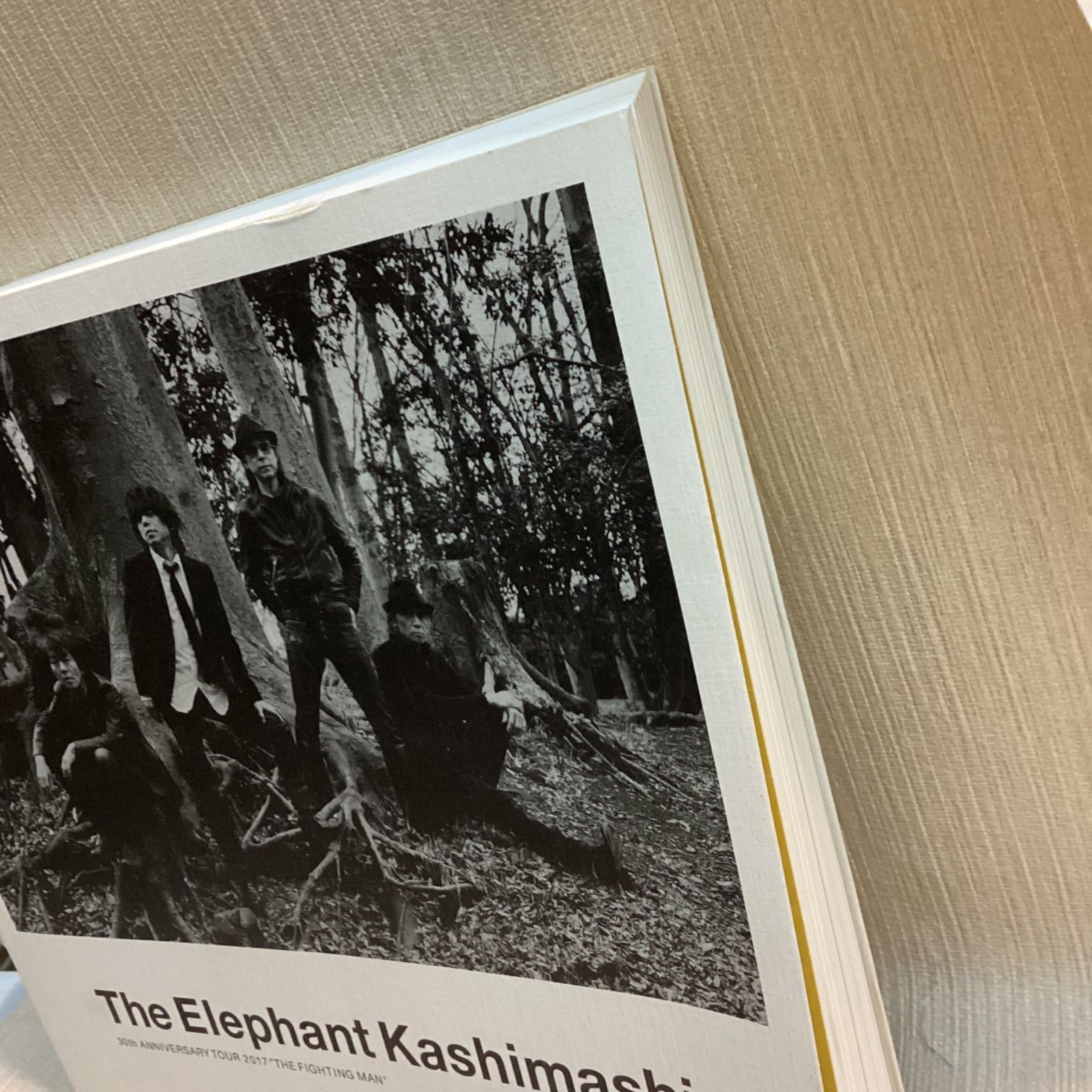 エレファントカシマシ 30周年 パンフレット 写真集 THE FIGHTING