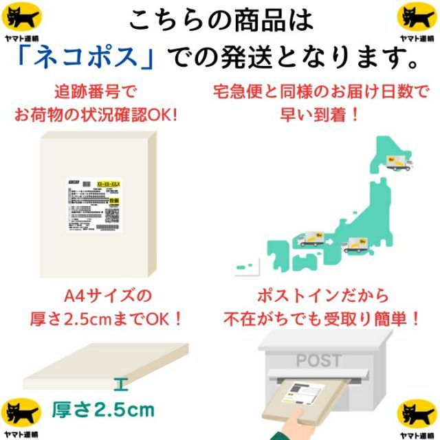  ネコポス発送 バタフライ Butterfly 06070 006 卓球 ラバー ディグニクス09 C 粘着性ハイテンション裏ラバー レッド 24 FW ラバー 卓球