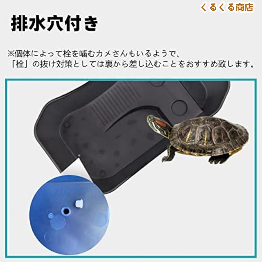育てよカメ カメ用水槽 大きい カメ 水槽 亀の水槽 60CM 亀 飼育ケース