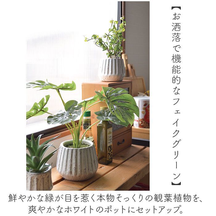 光触媒 フェイクグリーン 人工観葉植物 和室 リビング 3寸POT