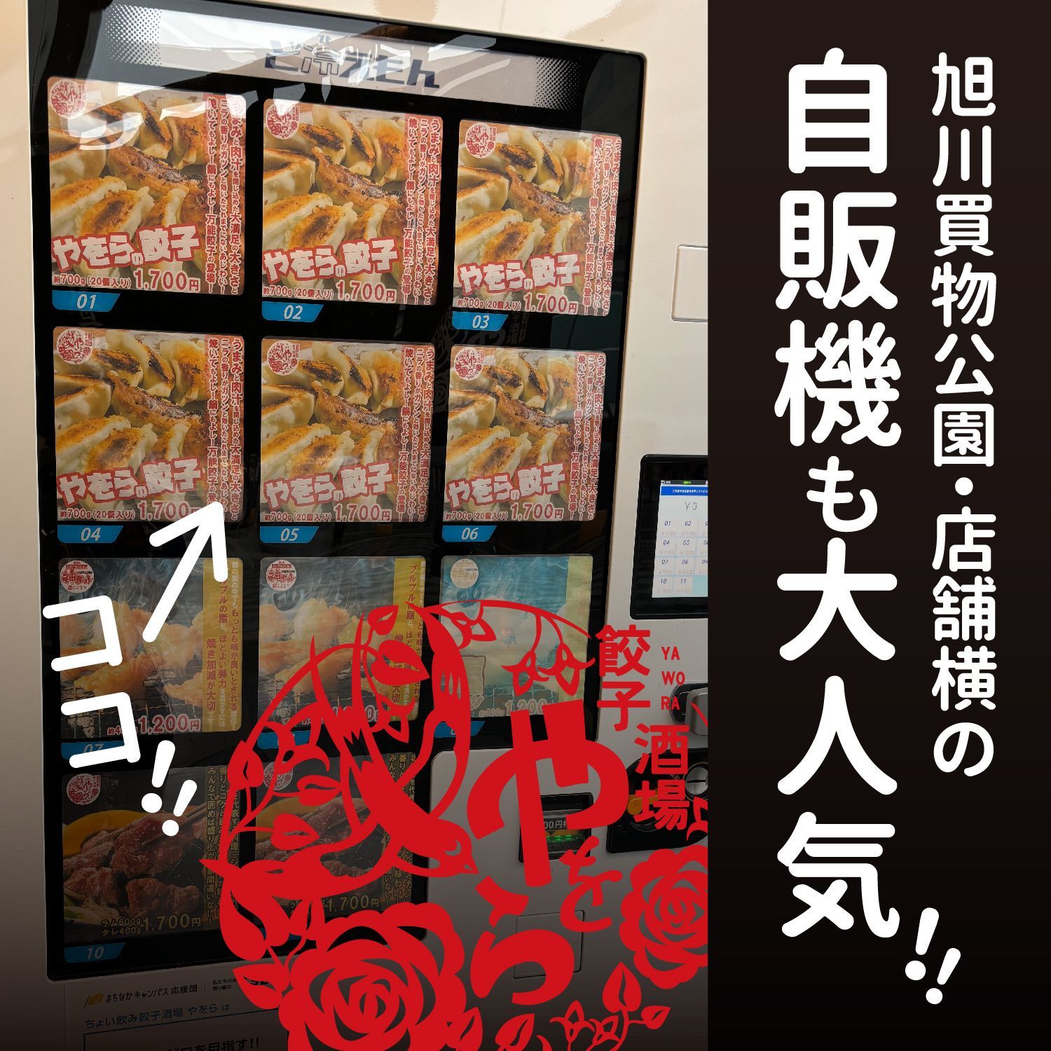 | 水餃子や鍋にも◎