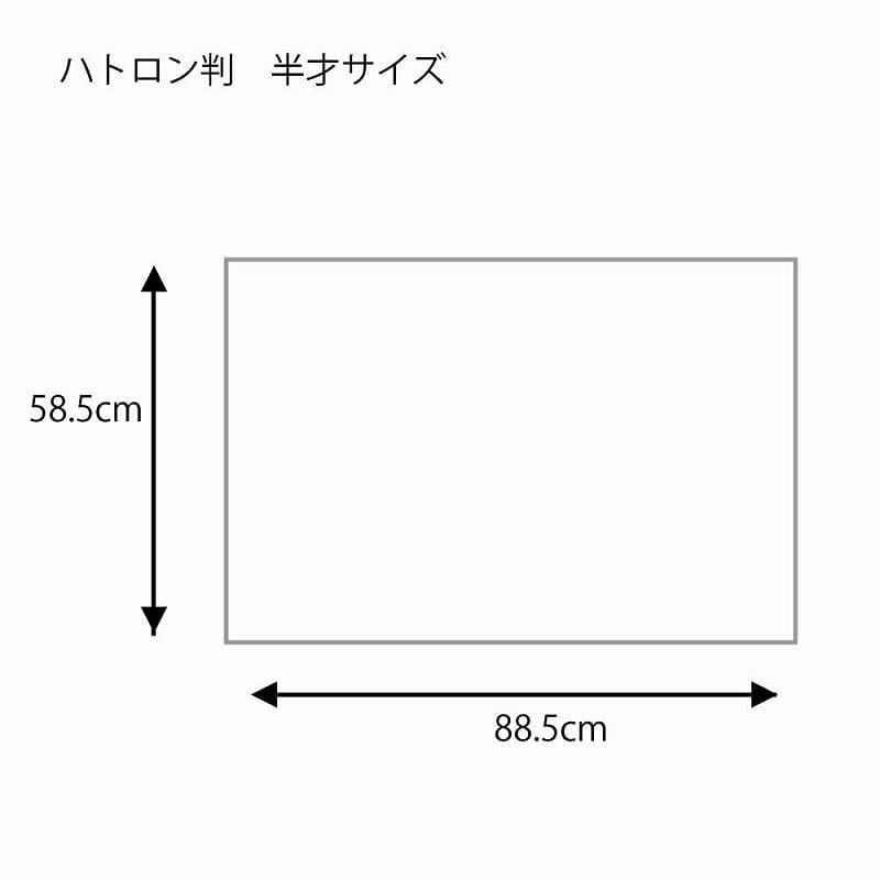 ×3セット