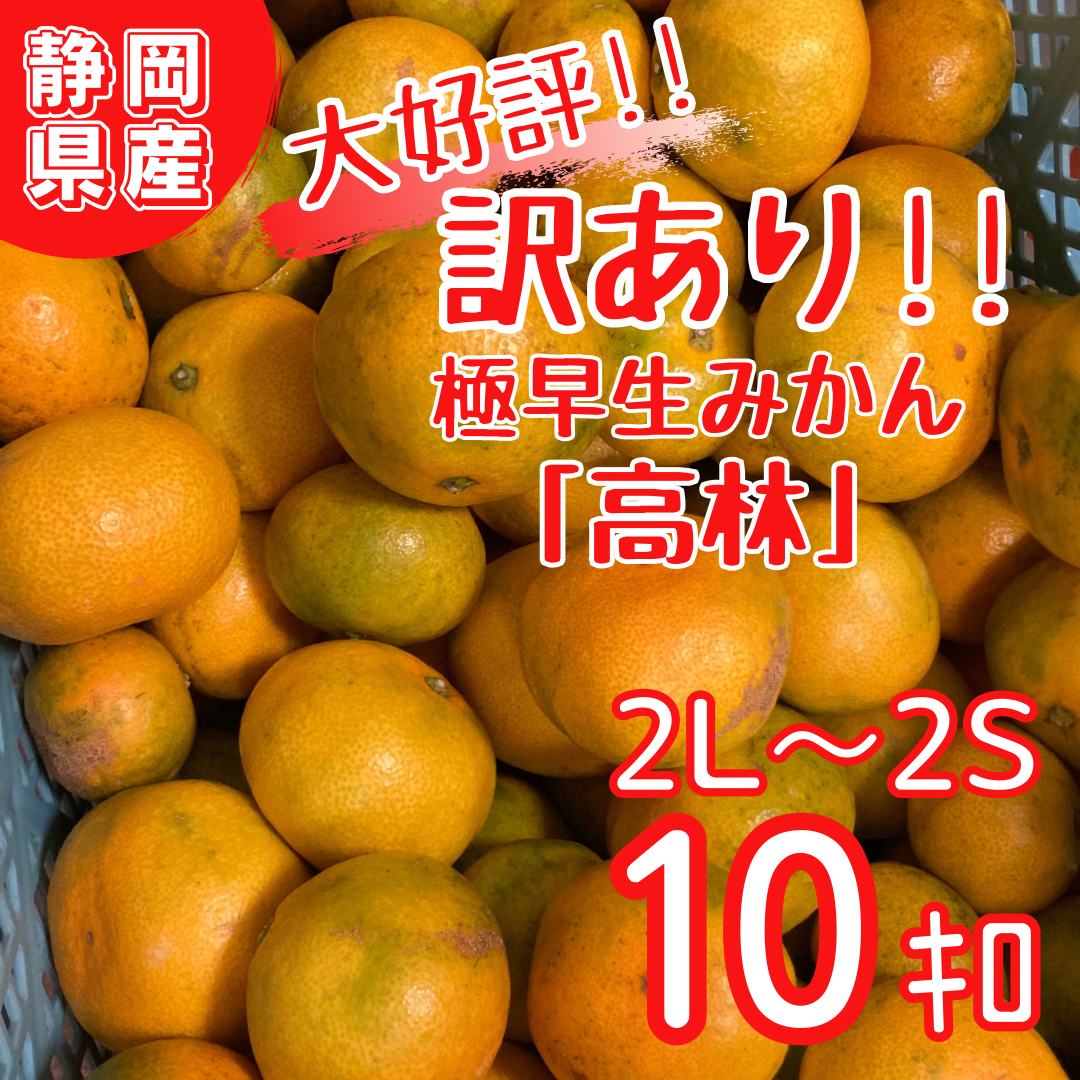 第1位獲得！】 静岡県産浜名湖ハウスみかん 特秀 約1.2kg thebabysense.ca