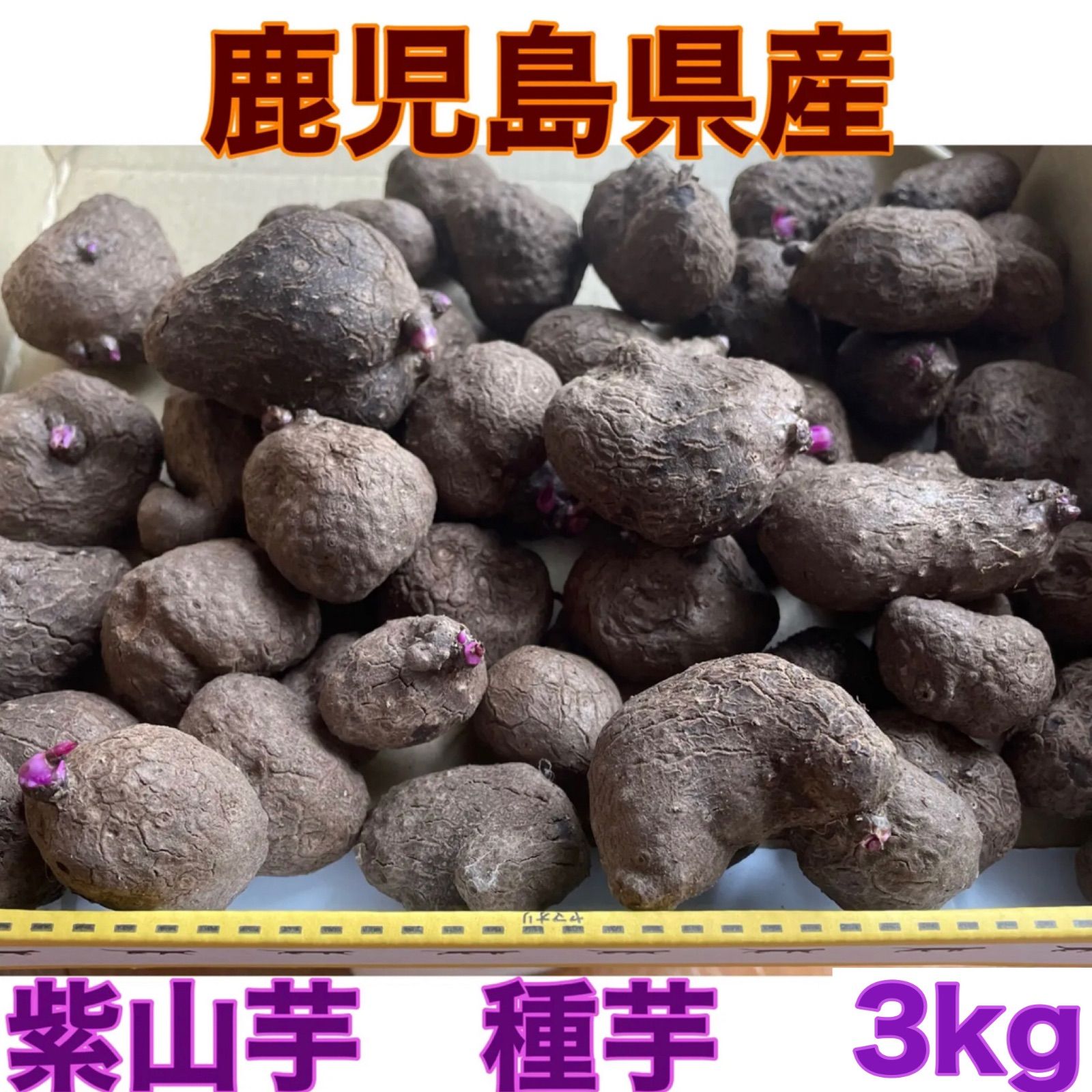 紫山芋3kg