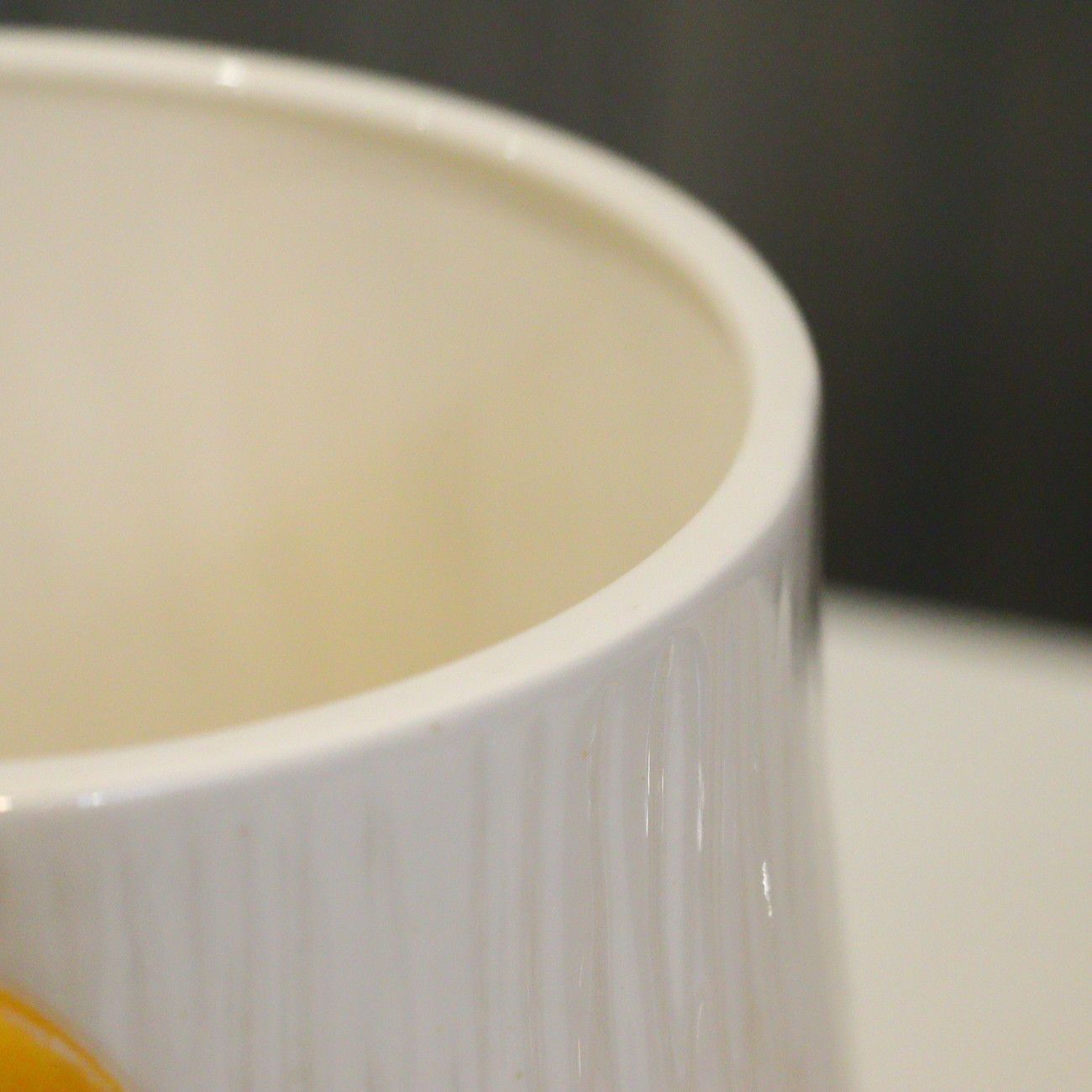 きのこ メキシコ製