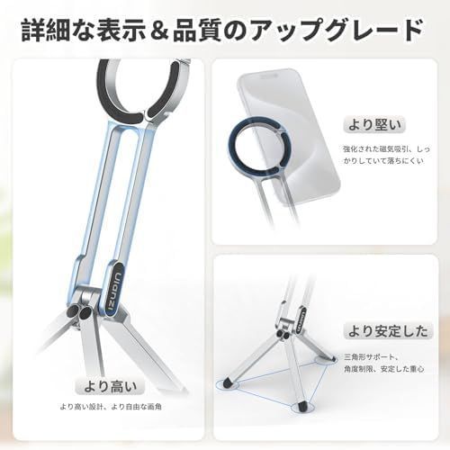 アンティーク ロブマイヤー 手描きエナメル盛上げ金彩 ペアの