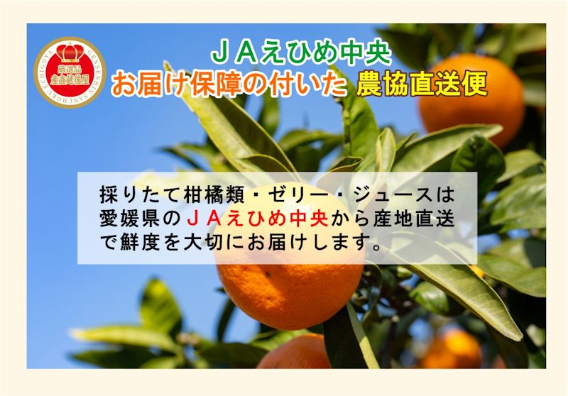 愛媛県の農協 JAえひめ中央 温室栽培 ハウスみかん 5kg 農協産地直送便でお届け 送料無料【フルーツ ギフト グルメ プレゼント】 メルカリ