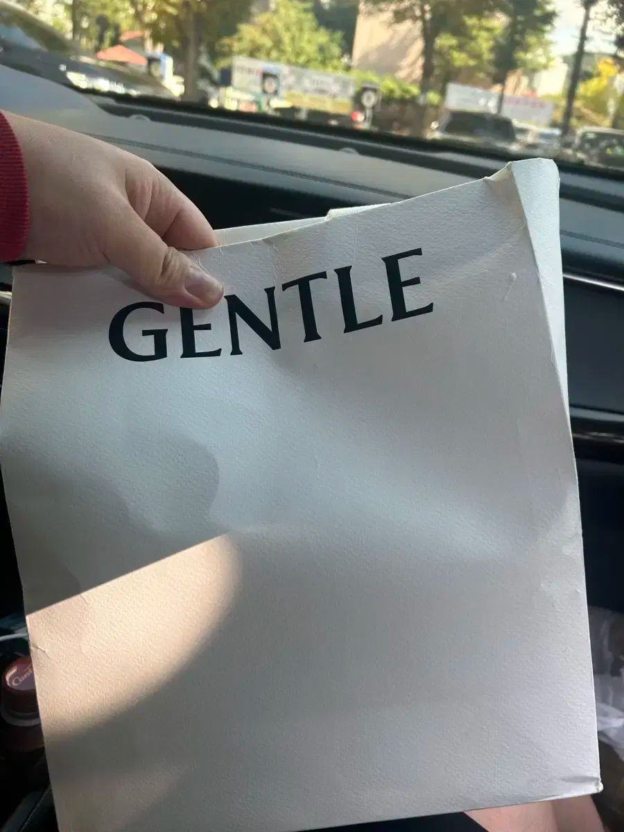 ジェントルモンスター