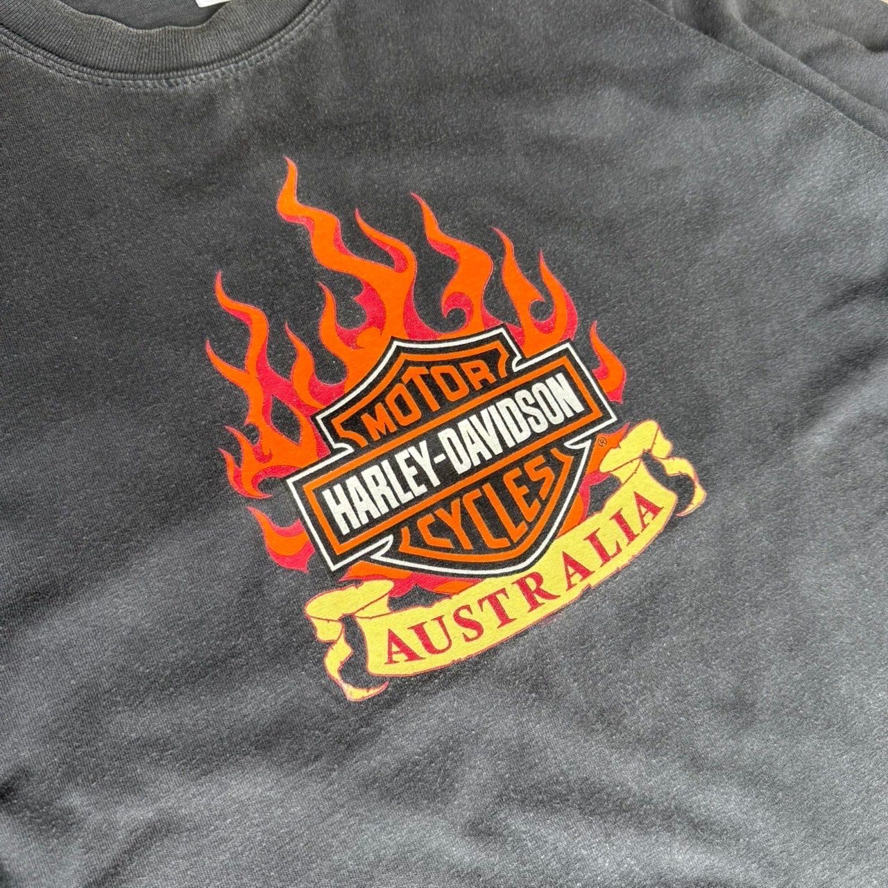 80s 90s Harley Davidson ハーレーダビッドソン 袖プリ フレイム 