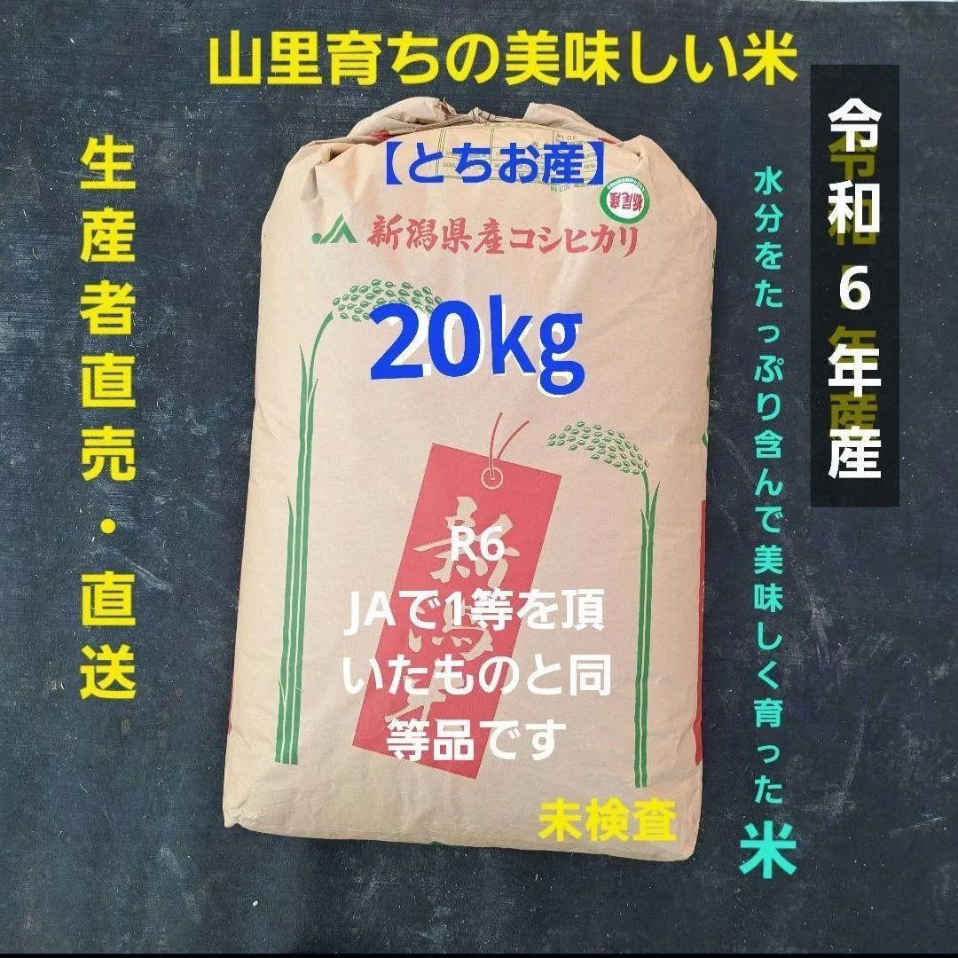 群馬県産 コシヒカリ R6年産 新米 20キロ 玄米 送料込 ②（群馬