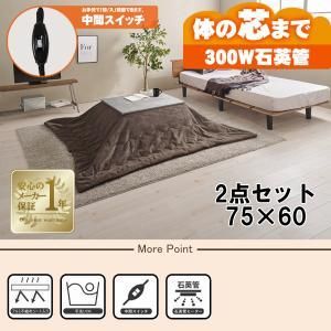 2営業日で発送 HAGIHARA 萩原 こたつ うす掛け布団 2点セット カルテス7560MGY ビケ7560BR 北海道 沖縄 離島配送不可