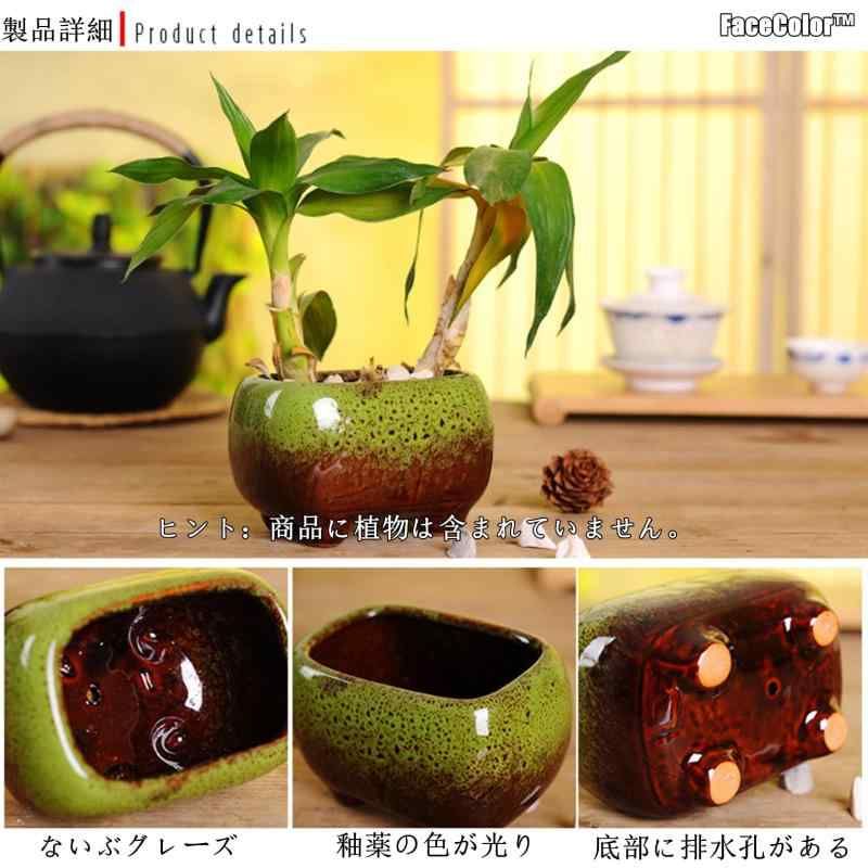 盆栽鉢　大型平楕円盆栽鉢48x38cmx5cm山野草サボテン植木鉢 FaceColor 釉薬植木鉢 小型 サボテン鉢 盆栽鉢 陶器製 楕円形 3