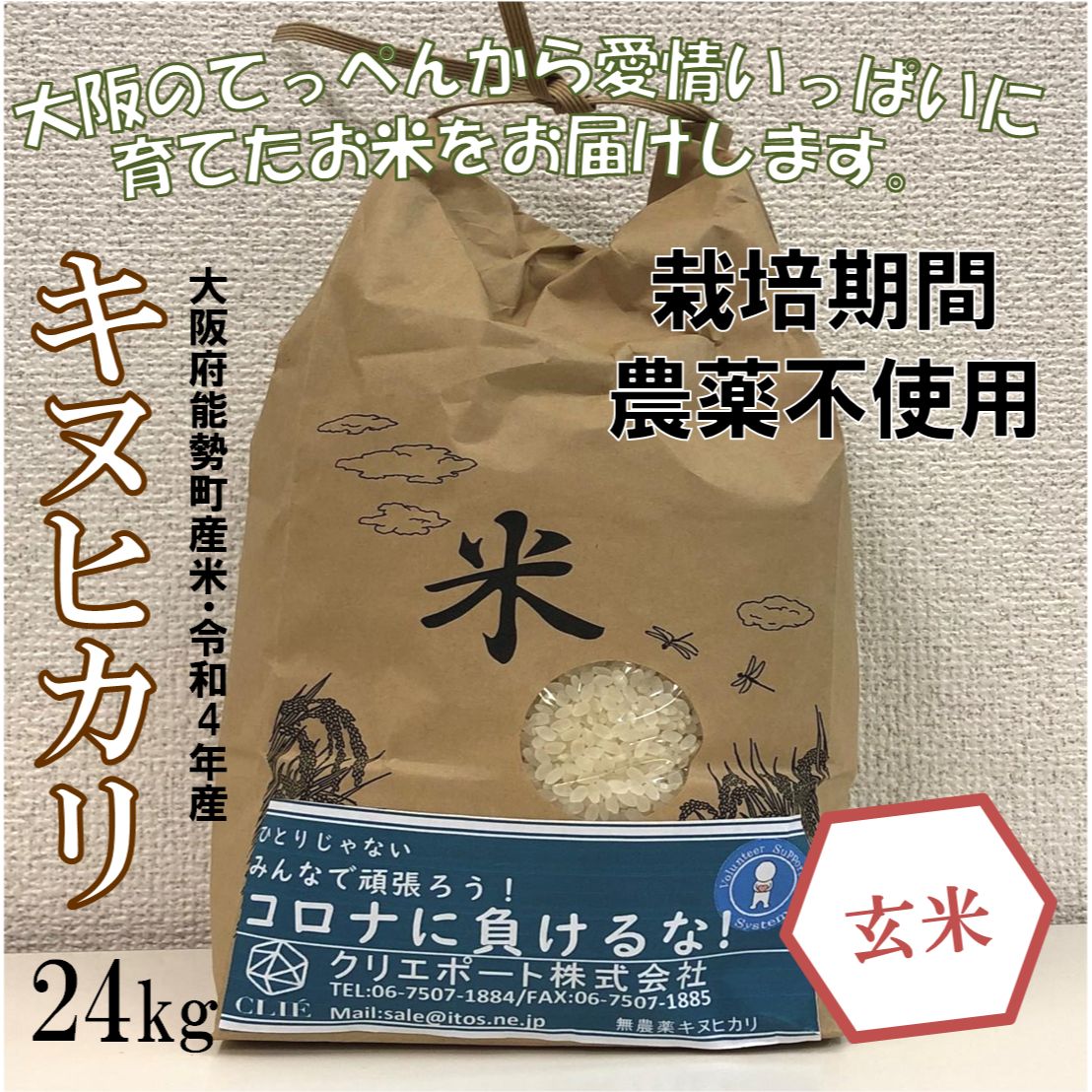 【令和４年産/栽培期間農薬不使用】大阪のてっぺんキヌヒカリ玄米24kg