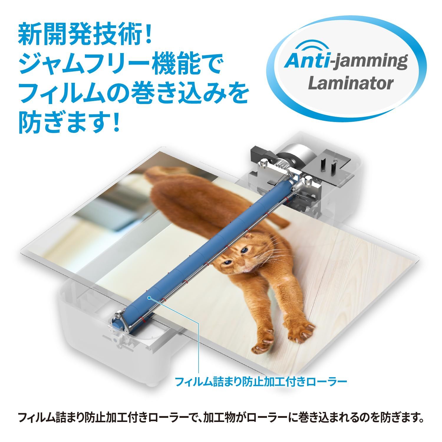 ジャムフリー 波