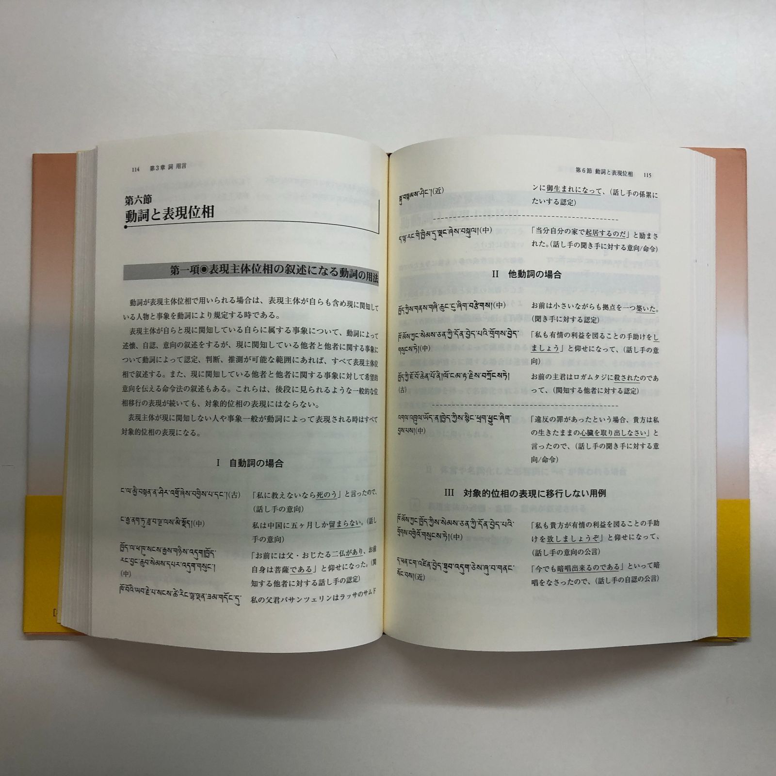 チベット語文語文典