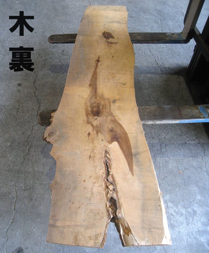 材木 広葉樹