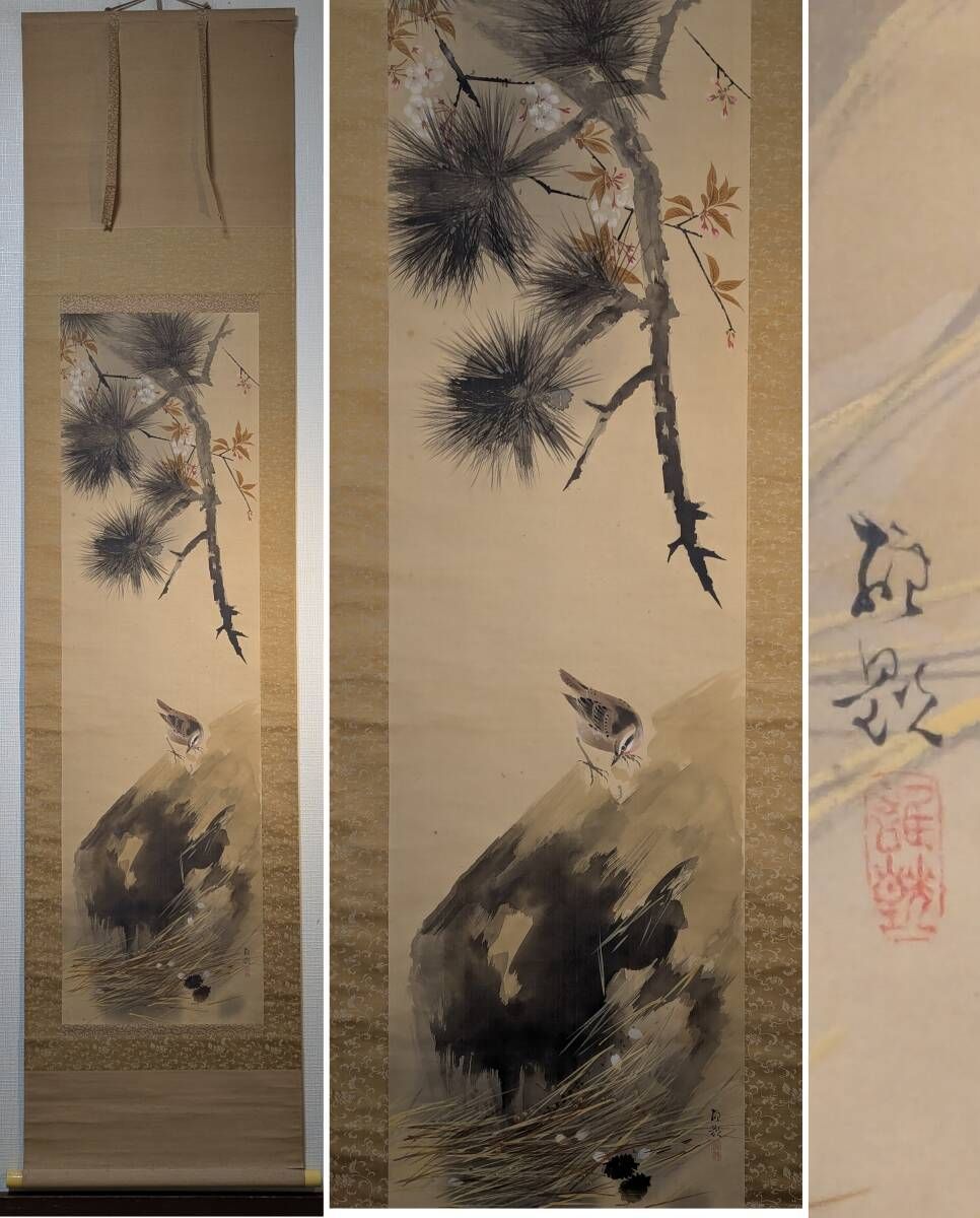 真作 掛軸 松に桜と雀図 春の趣溢れる花鳥画 和の情景 合箱入 T109