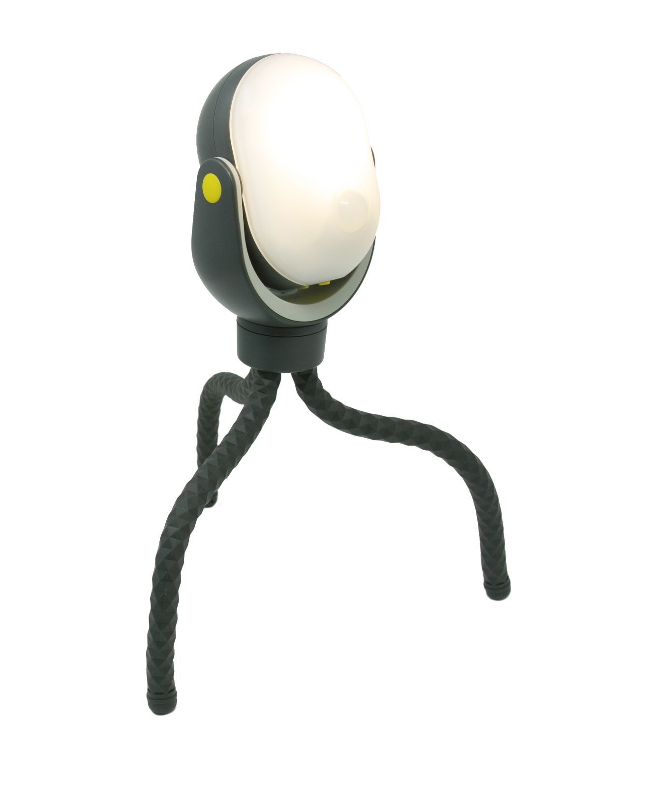 大迫力! シリーズ、最強王図鑑 まとめ売り キャサリン 美品 最強王図鑑