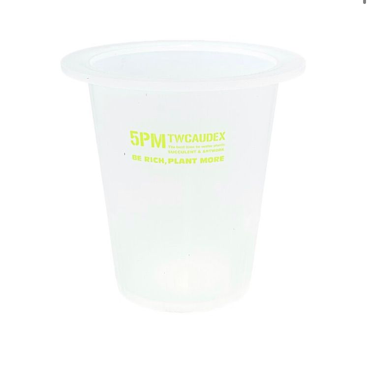5PM.TWCAUDEX プラスチック鉢 酉 5pm.twcaudex プラスチック 鉢 - メルカリ