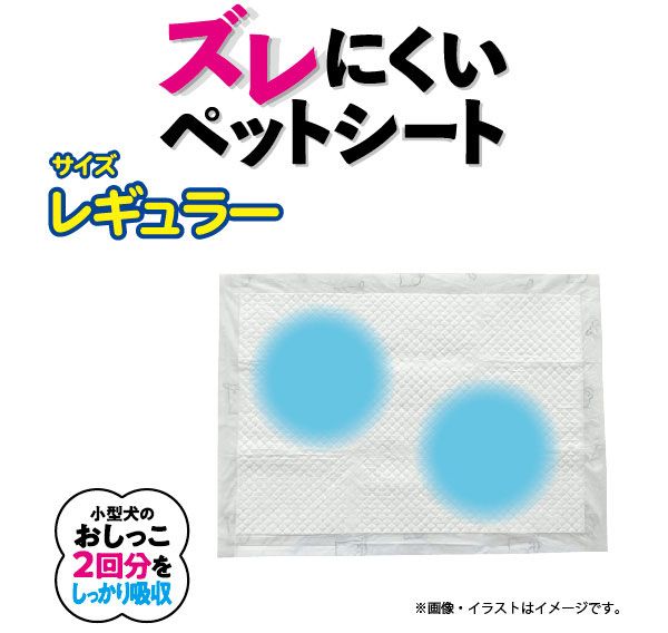 6個セット