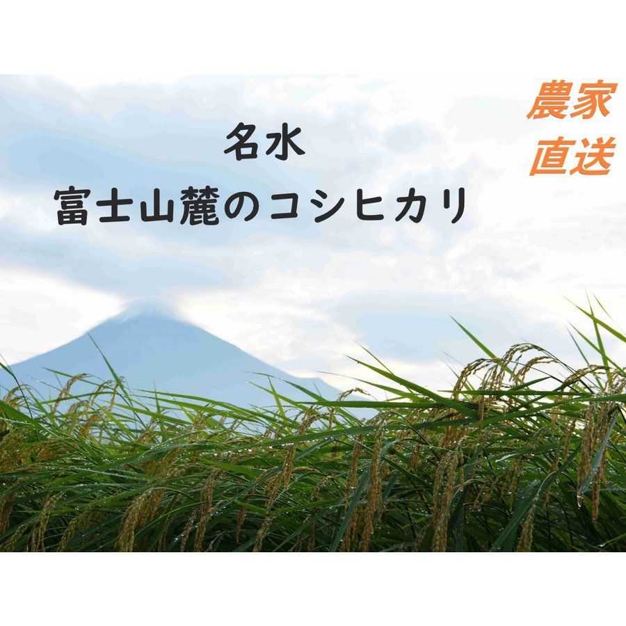 令和4年産　炊くとふっくら！霊峰富士山の湧き水が作った絶品コシヒカリ 30kg