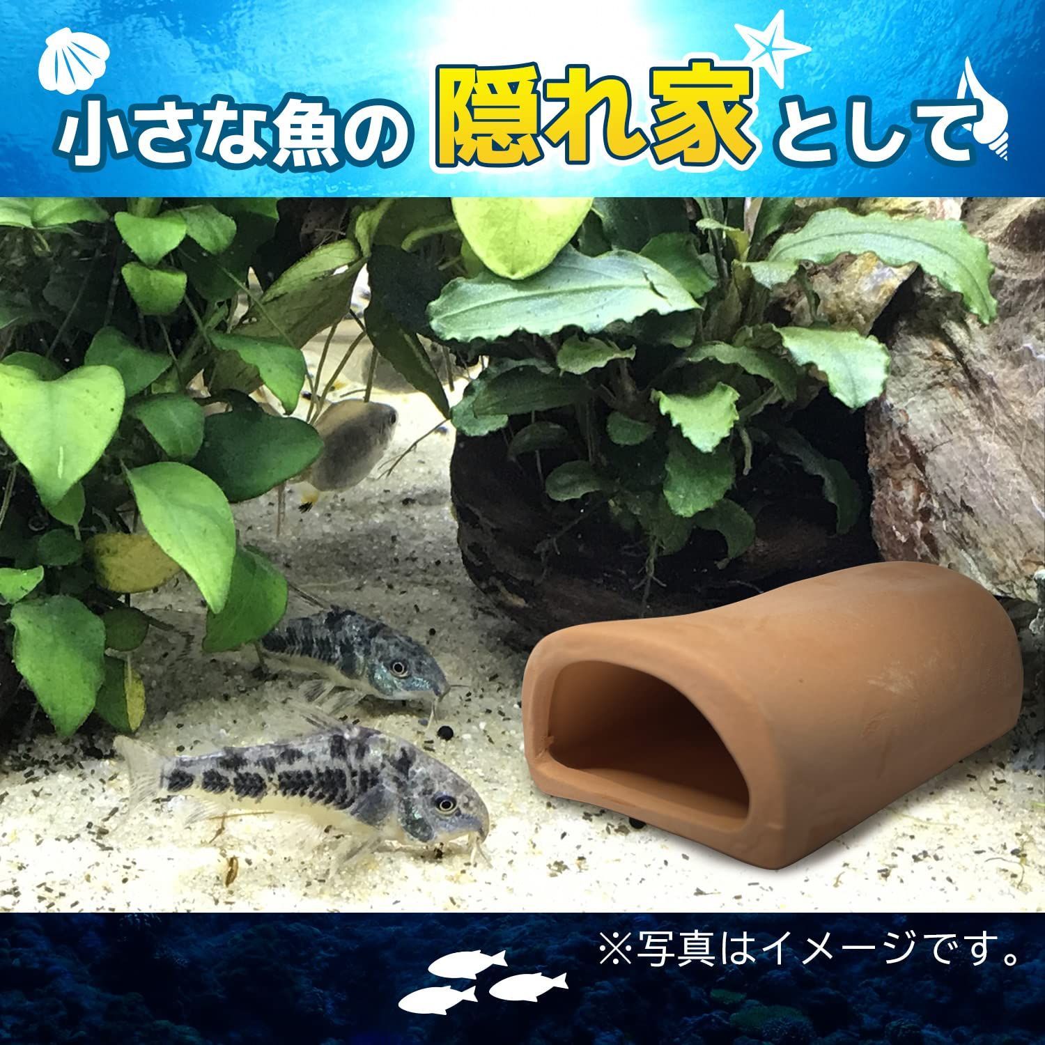 在庫処分】エビ 5個 ザリガニ プレコ 稚魚 魚 カマボコ 飾り 装飾 水槽 洞窟 セット 土管 隠れ家 アクアリウム 熱帯魚 シェルター 筒 産卵  ファビュラス堂 - メルカリ