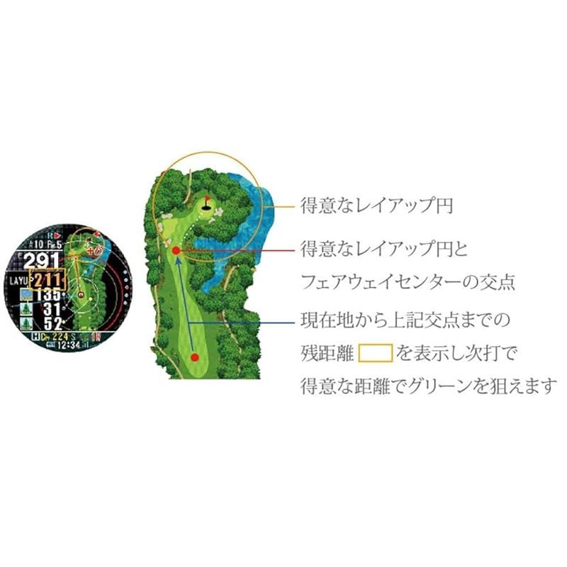 ホワイト 大画面