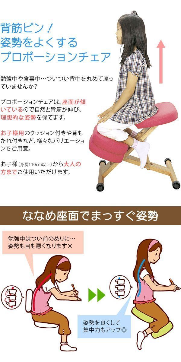 宮武製作所 補助クッション付