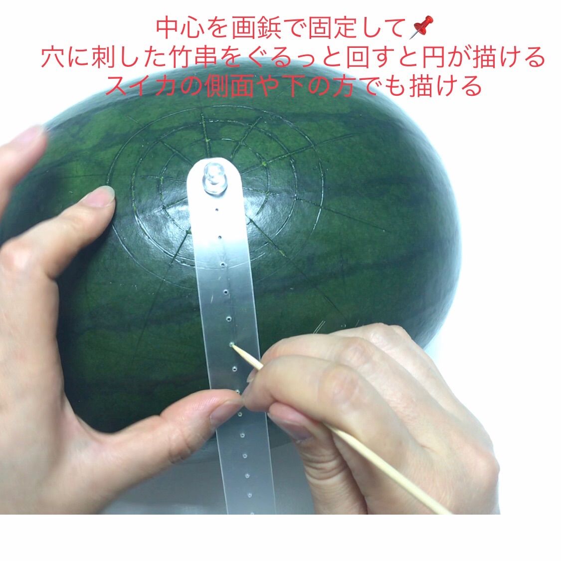 等分・分割スケール／ソープカービングやフルーツカービングに便利