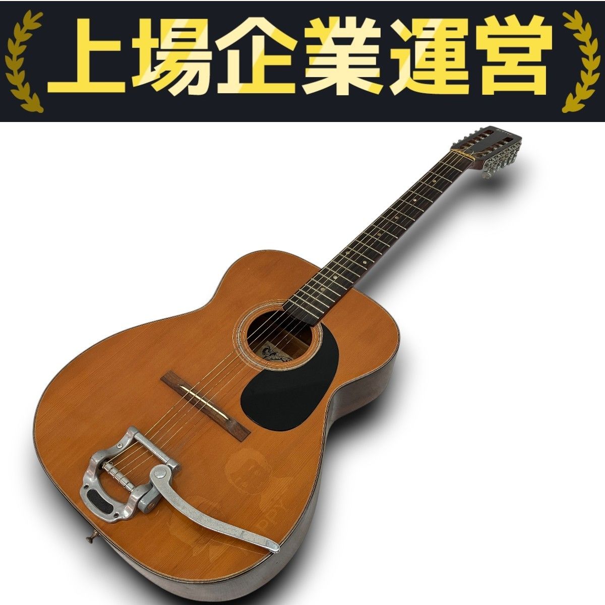 Takamine Elite WF11 12弦 エレアコ タカミネ クラシックギター