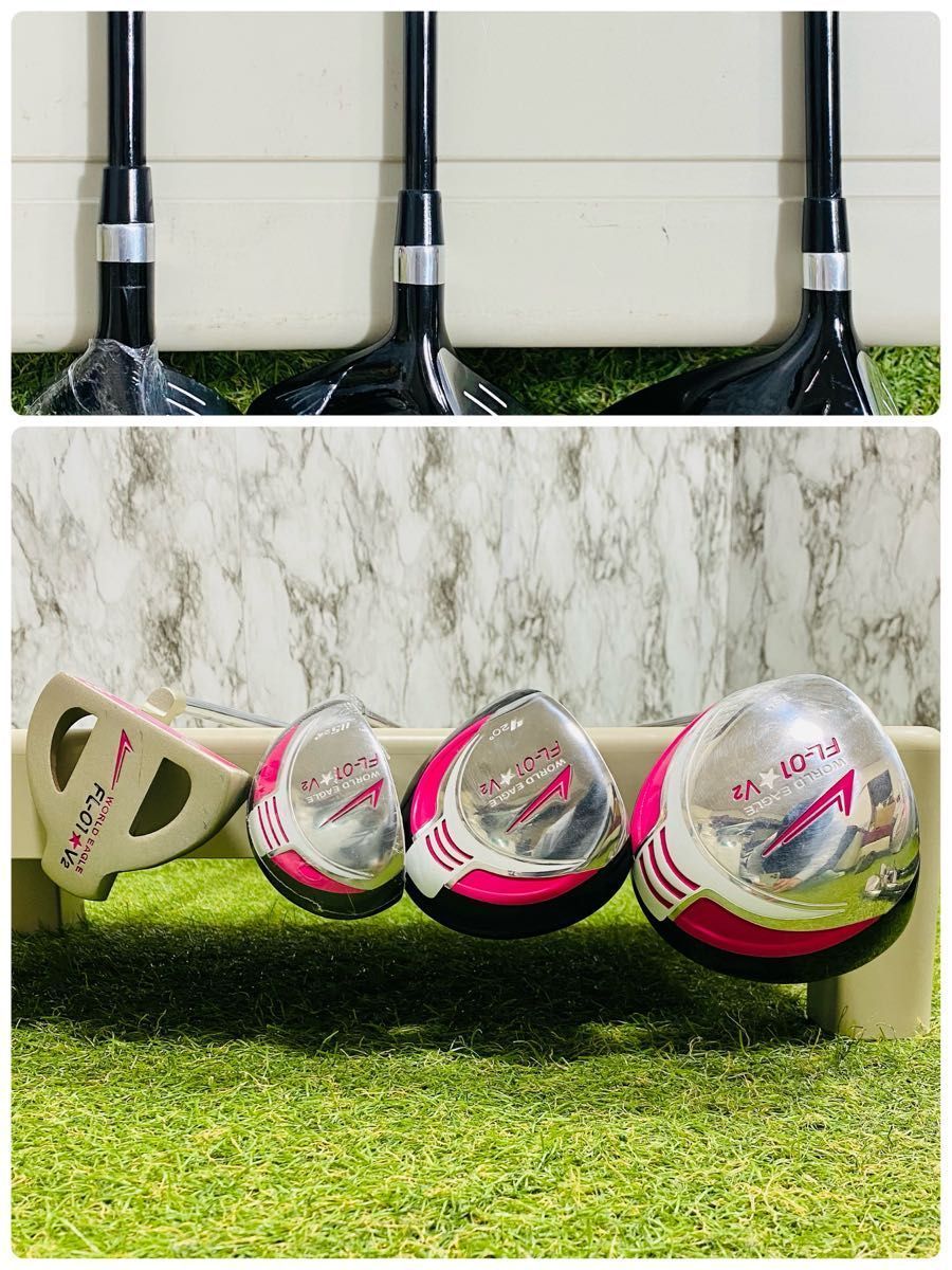 ゴルフ レフティ レディース 10本セット ワールドイーグル FL-01 V2