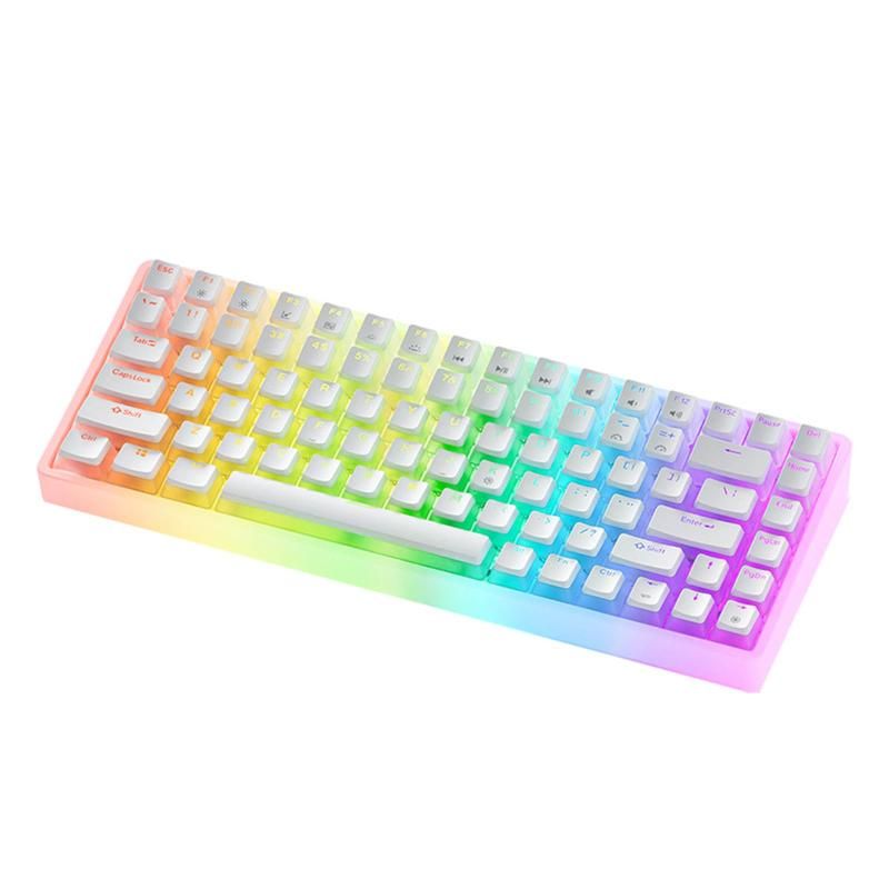 G30霧雪シリーズ メカニカルキーボード 有線 RGBバックライト付き 樹脂キーキャップ 透明なデザイン 75%配列 84キー カスタマイズ Windows XP|Vista | Win7 | W