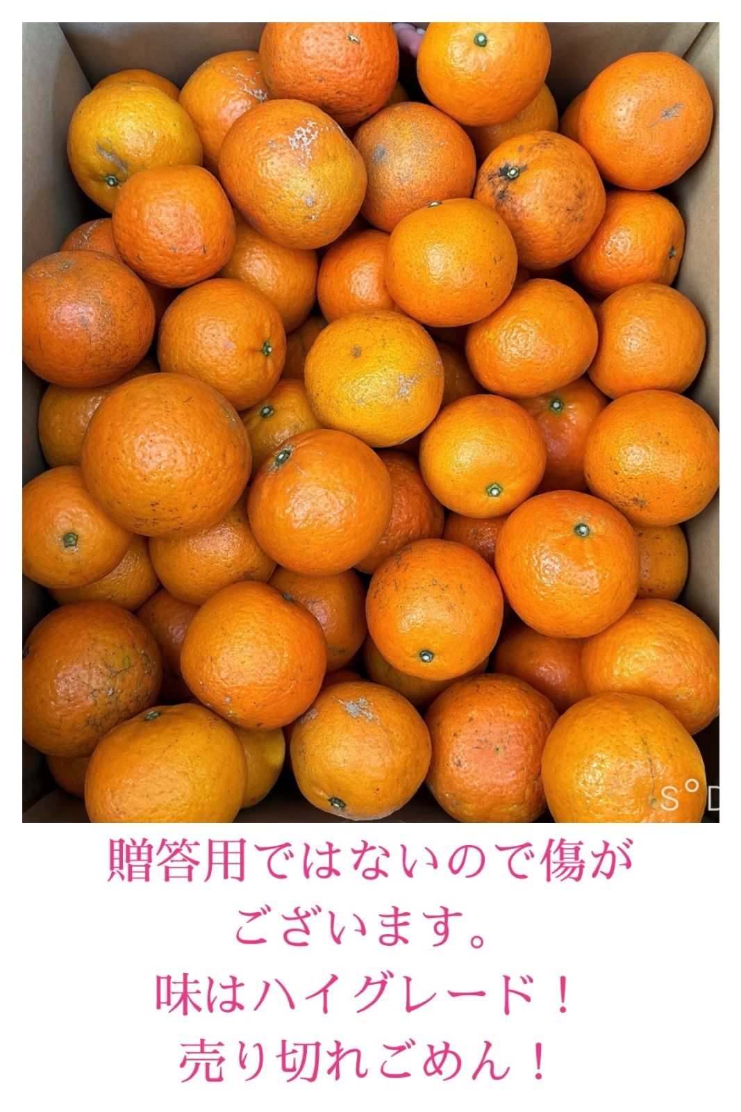 種子島産【家庭用】タンカン10キロ箱満杯詰!✨ - メルカリ 種子島産【家庭用】タンカン10キロ箱満杯詰!✨ - メルカリ